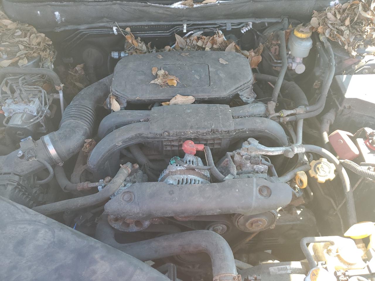 Subaru Outback 2.5i Premium Image 3