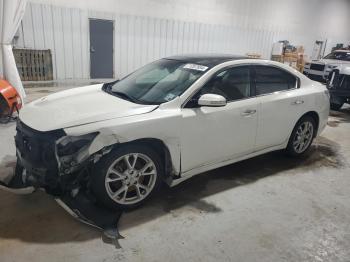  Salvage Nissan Maxima