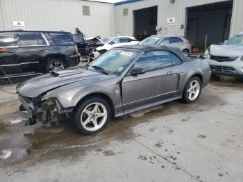  Salvage Ford Mustang