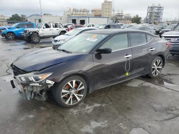  Salvage Nissan Maxima