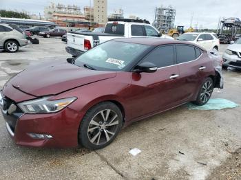  Salvage Nissan Maxima