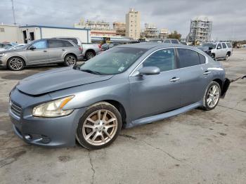  Salvage Nissan Maxima