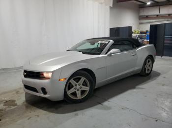  Salvage Chevrolet Camaro