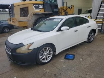  Salvage Nissan Maxima