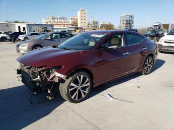  Salvage Nissan Maxima