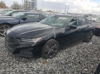  Salvage Acura TLX