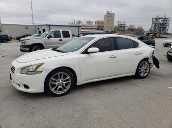  Salvage Nissan Maxima