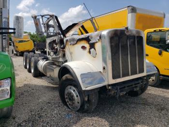  Salvage Peterbilt 389