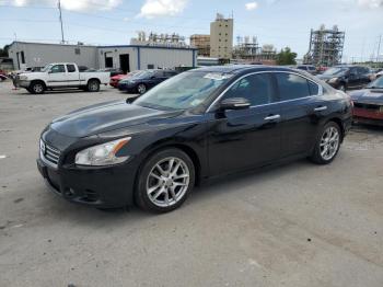  Salvage Nissan Maxima