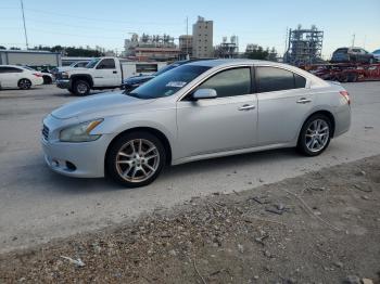  Salvage Nissan Maxima
