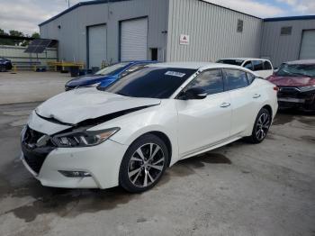  Salvage Nissan Maxima