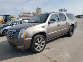  Salvage Cadillac Escalade