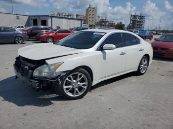  Salvage Nissan Maxima
