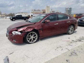  Salvage Nissan Maxima