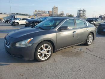  Salvage Nissan Maxima