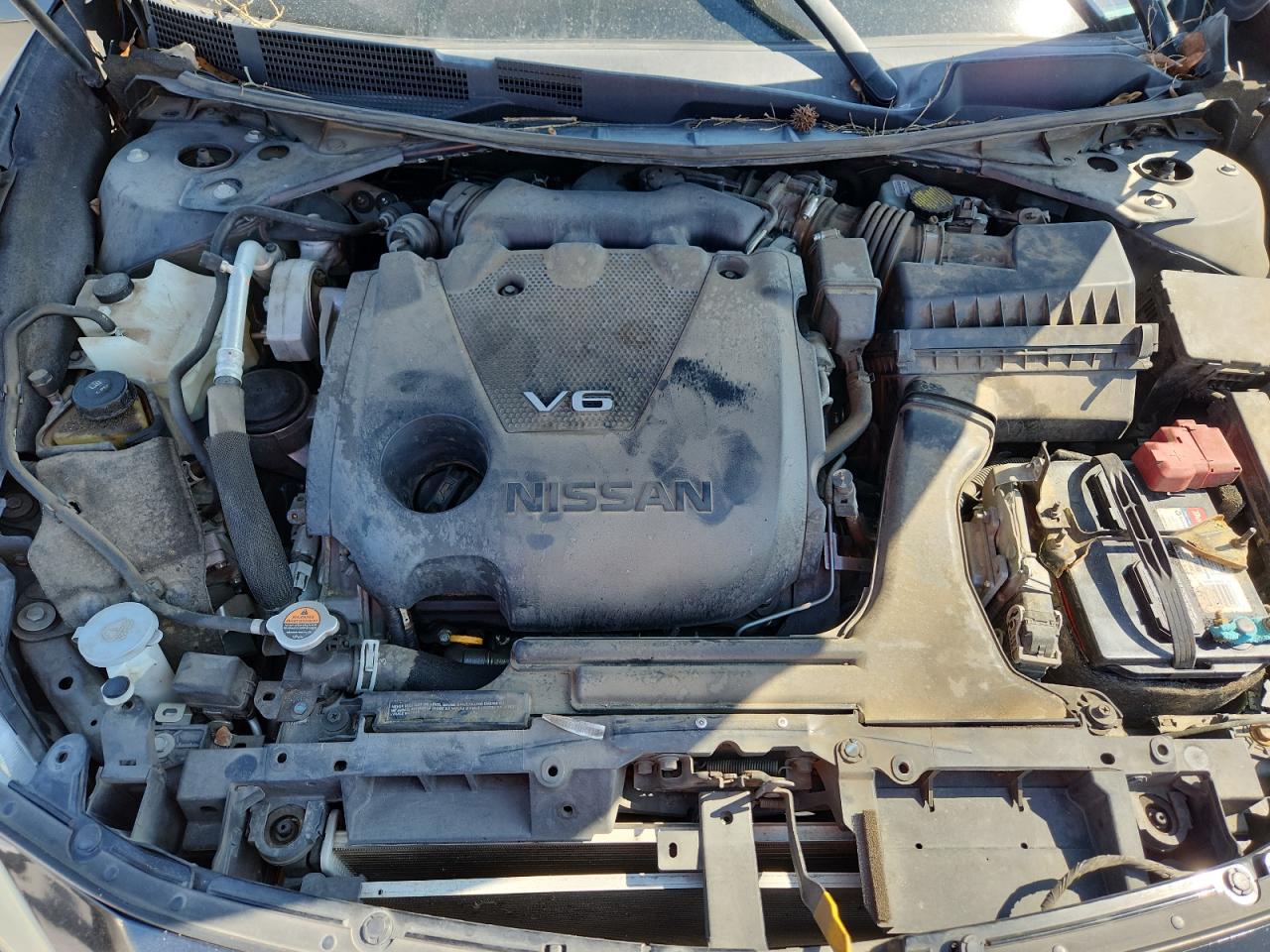 Nissan Maxima 3.5s Image 6