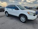 Honda Crv Se Image 10