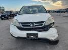 Honda Crv Se Image 3