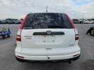 Honda Crv Se Image 6
