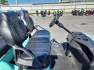 Srie Golf Cart Image 7