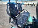 Srie Golf Cart Image 4