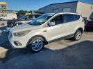 Ford Escape Sel Image 1