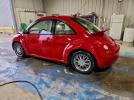 Volkswagen Beetle Image 12