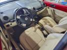 Volkswagen Beetle Image 10
