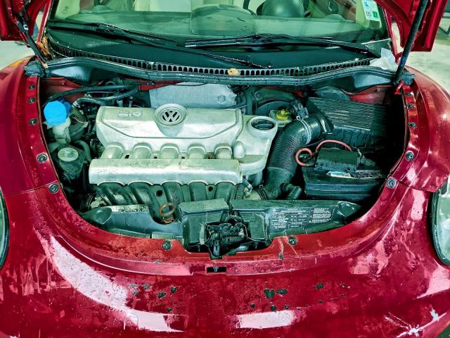 Volkswagen Beetle Image 5