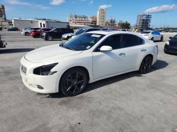 Salvage Nissan Maxima