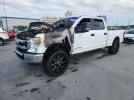 Ford F-250 Super Duty Image 1