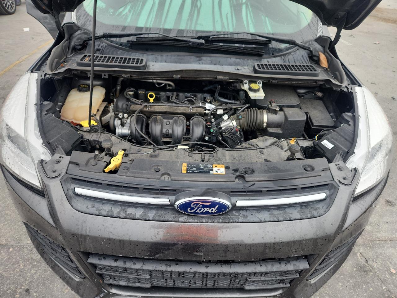 Ford Escape Se Image 13