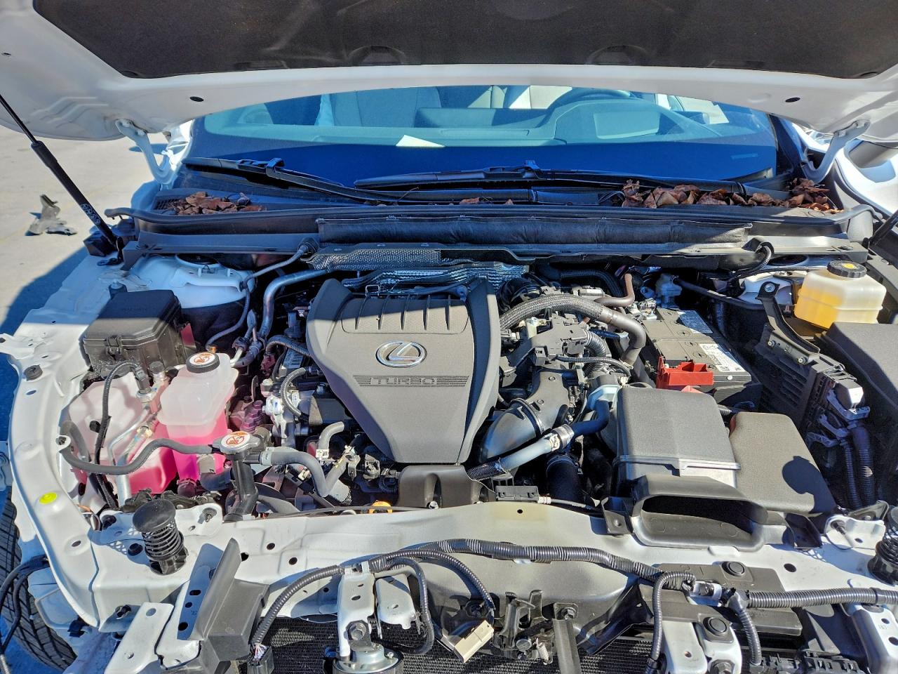 Lexus RX 350 Base Image 8