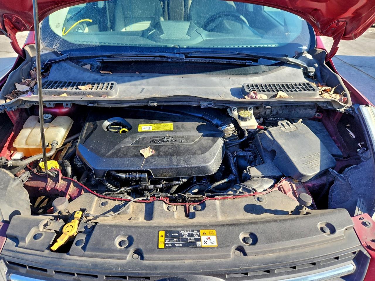 Ford Escape Se Image 4