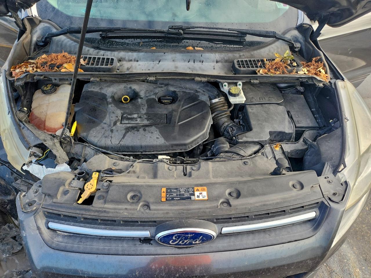 Ford Escape Se Image 9