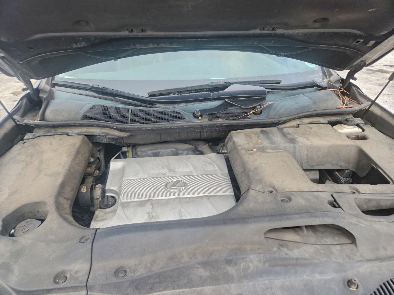 Lexus RX 350 Image 8