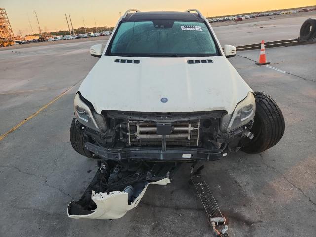 Mercedes-Benz G-Class 63 Amg Image 3