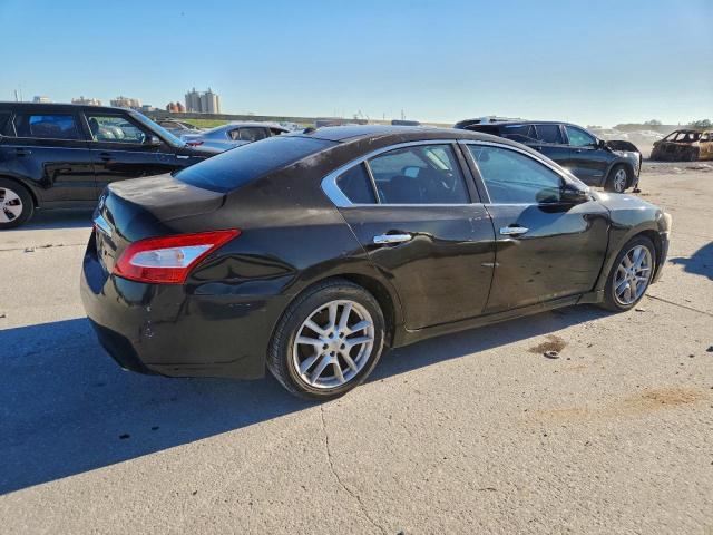 Nissan Maxima S Image 2