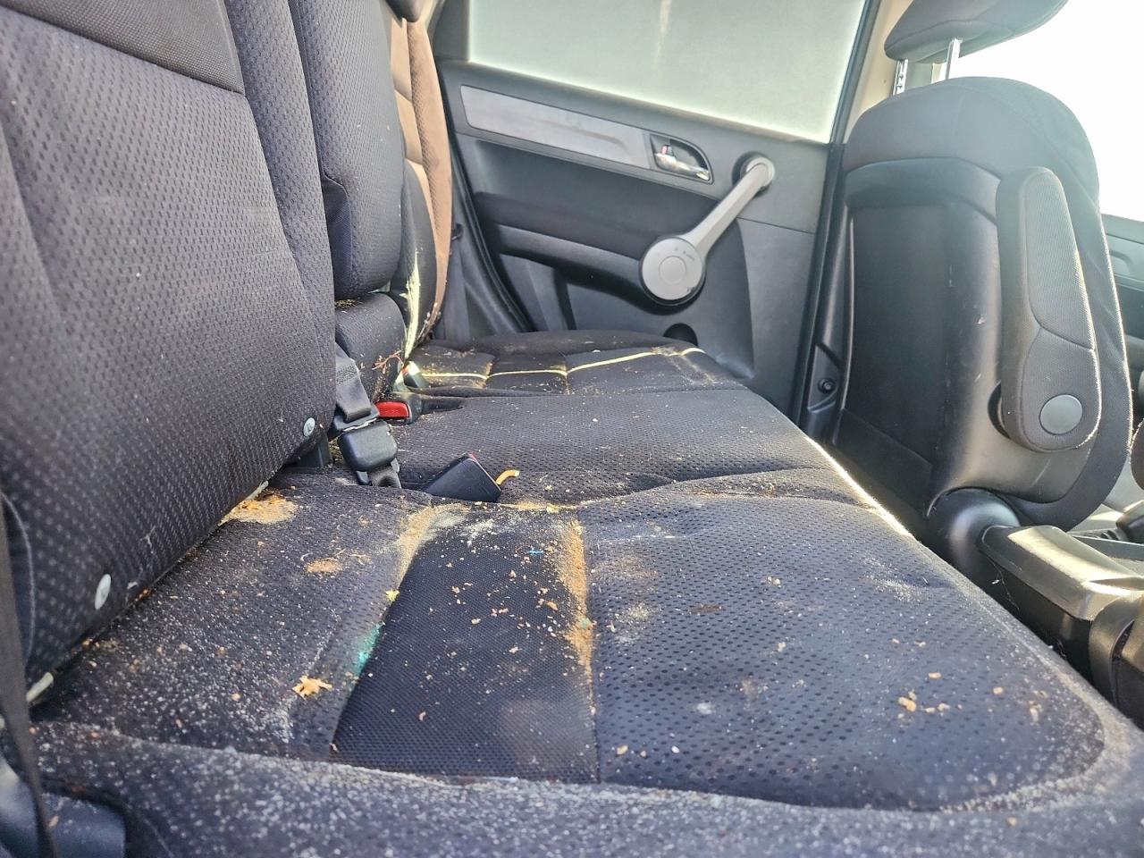 Honda Crv Lx Image 10