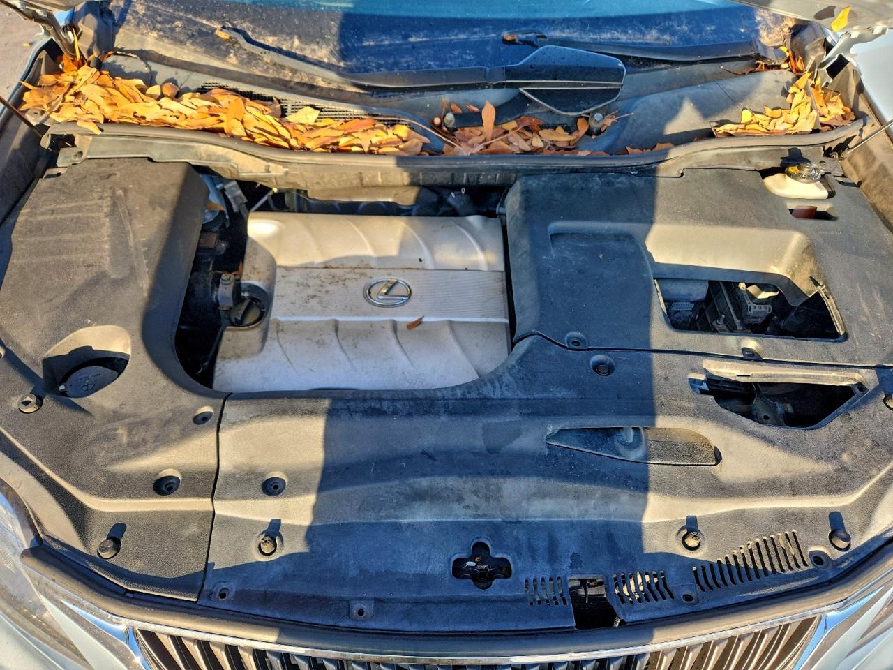 Lexus RX 350 Image 5