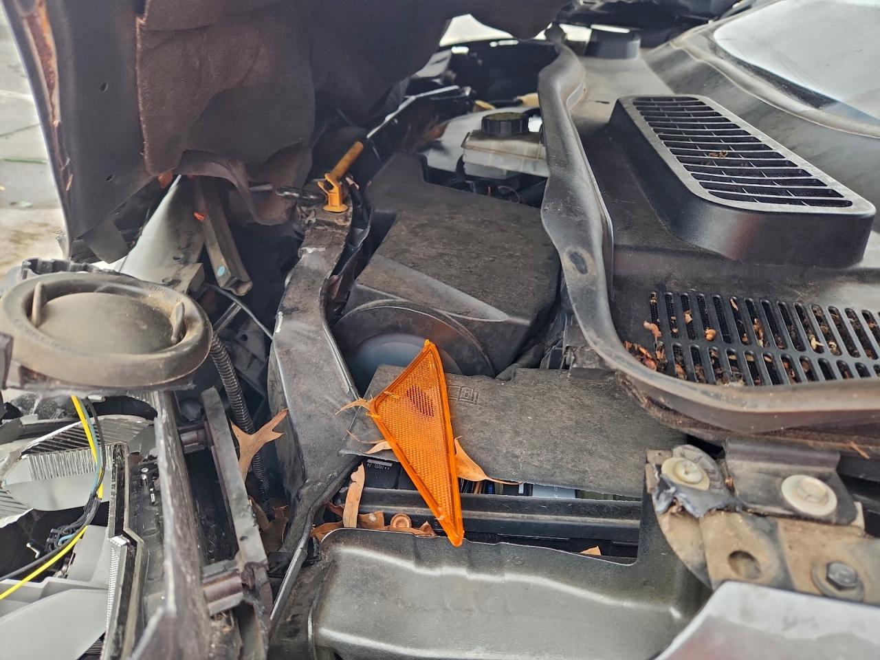 Ford Escape Titanium Image 11